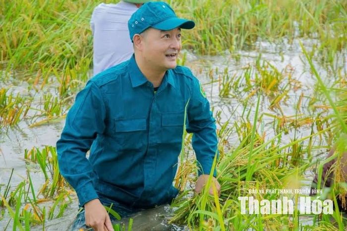 Địa phương phấn đấu đẩy nhanh tiến độ thu hoạch, giảm thiểu tối đa thiệt hại do thiên tai gây ra cho bà con nông dân.