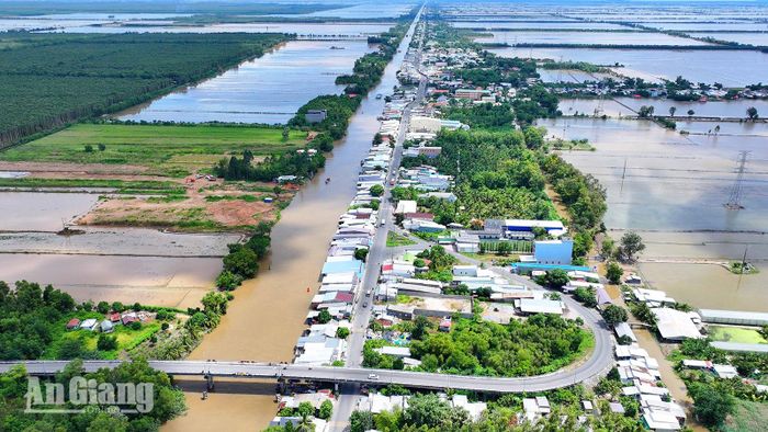 Cánh đồng Tứ giác Long Xuyên. Ảnh: THÀNH CHINH.