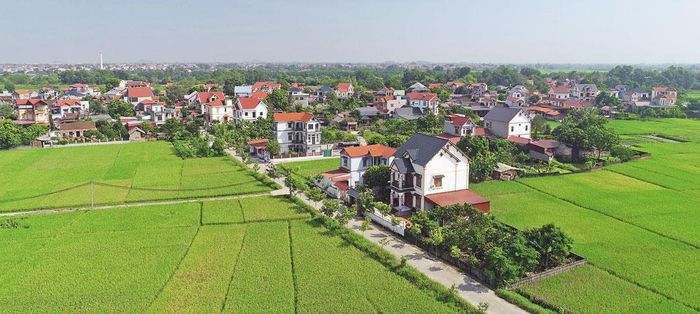  Miền quê đổi mới. 