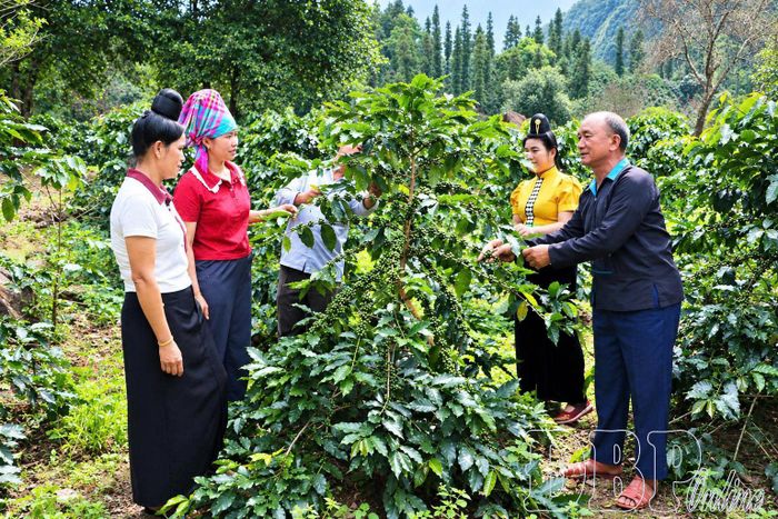 Hiểu và nắm vững kiến thức sản xuất, già làng Cứ Chừ Tú, bản Tìa Ló, xã Pu Nhi luôn chia sẻ kinh nghiệm, hỗ trợ người dân trong vùng.