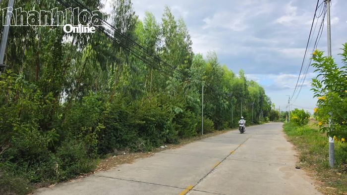 Khu vực triển khai dự án tại phường Tây Nha Trang.