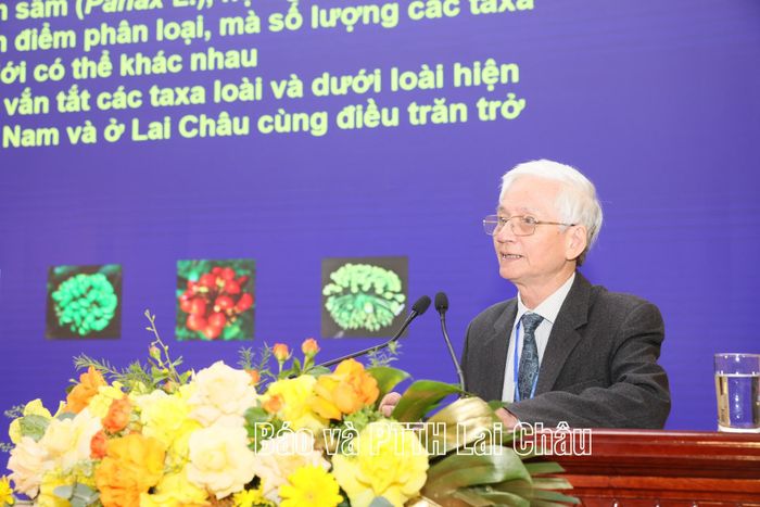 PGS.TS. Nguyễn Văn Tập - Ủy viên Ban Dược liệu và Danh pháp Hội đồng Dược Điển và Dược thư Việt Nam tham luận tại hội thảo về các loài thuộc chi nhân sâm (Panax l.) đã biết và hiện trạng ở tỉnh Lai Châu.
