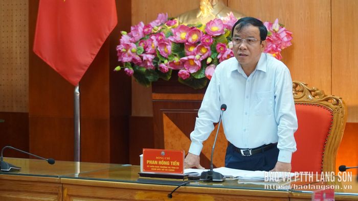 Đồng chí Phan Hồng Tiến, Ủy viên Ban Thường vụ Tỉnh ủy, Giám đốc Sở Tài chính, Tổ phó Tổ công tác phát biểu tại cuộc họp