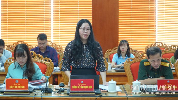 Lãnh đạo Thống kê tỉnh phát biểu tại cuộc họp