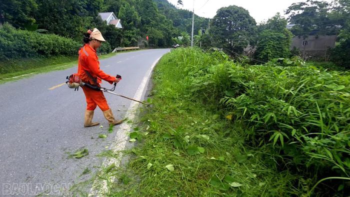 Chị Nguyễn Thị Oanh phát dọn cây cỏ ven quốc lộ 70.