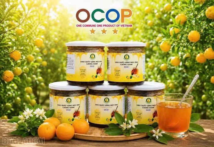 Chuỗi sự kiện nhằm quảng bá tiềm năng, lợi thế, sản phẩm nông nghiệp chủ lực, sản phẩm OCOP...