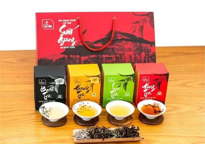 Thông qua chuỗi hoạt động, Lào Cai hướng tới tăng cường liên kết giữa vùng nguyên liệu, sản xuất, chế biến, logistics và thị trường.