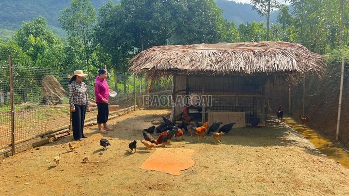 Đa dạng cây trồng, vật nuôi tạo sinh kế ổn định cho người dân.