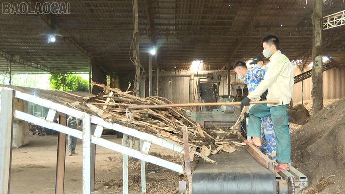 Hiện, công ty tạo việc làm, thu nhập ổn định cho 15 lao động trong và ngoài tỉnh.