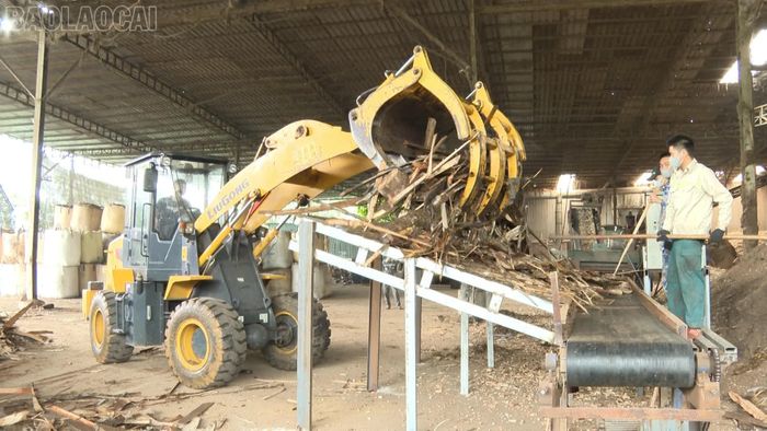 Ngoài ra, công ty đầu tư hệ thống máy hiện đại giúp tối ưu hoá quy trình sản xuất, tiết kiệm nhân công lao động.