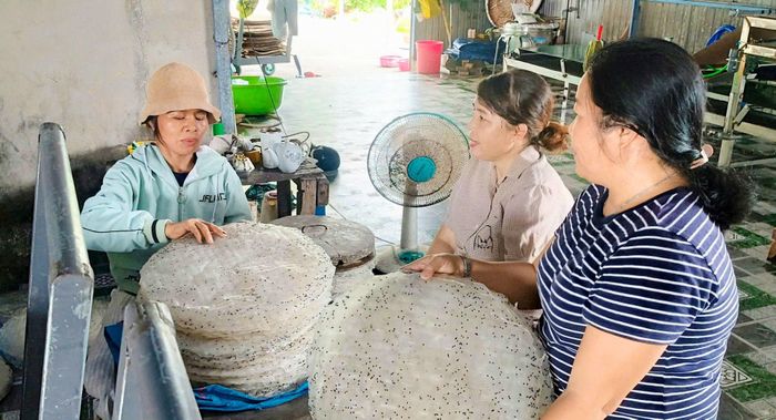 Cơ sở bánh tráng của chị Hạnh giúp tạo việc làm cho nhiều chị em phụ nữ địa phương