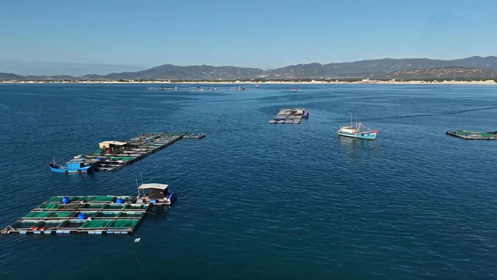 Xã Phan Rí Cửa có nhiều tiềm năng, lợi thế để phát triển nuôi cá lồng bè