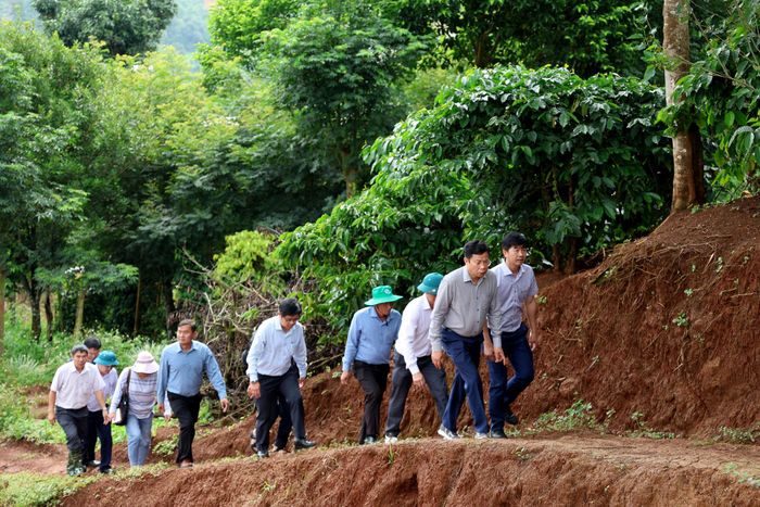 Đồng chí Lưu Văn Trung, Phó Bí thư Tỉnh ủy, Chủ tịch HĐND tỉnh Lâm Đồng kiểm tra tình hình sụt lún thôn Đắk Snao, xã Quảng Sơn