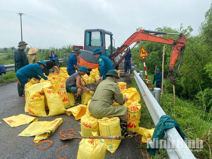 Lực lượng và phương tiện tham gia xử lý sự cố trên đê tả Đáy tại phường Nguyễn Úy.