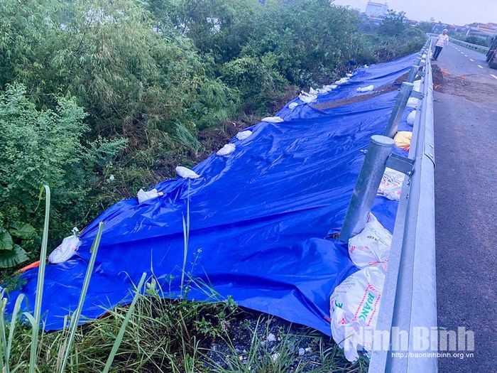 Đoạn đê tả Đáy tại phường Nguyễn Úy đã được xử lý sự cố đảm bảo an toàn.