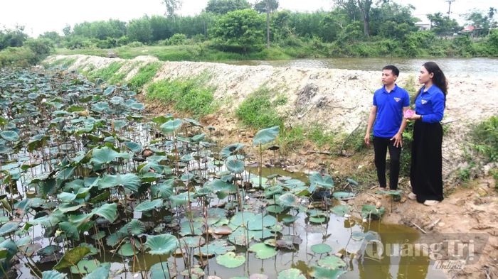 Mô hình trồng sen nuôi cá kết hợp của anh Võ Viết Cường ở thôn Trâm Lý, xã Vĩnh Định - Ảnh: Đ.V