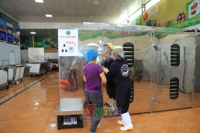 Dây chuyền chế biến quả sấy khô tại HTX Nông nghiệp Quyết Thanh, phường Thảo Nguyên.