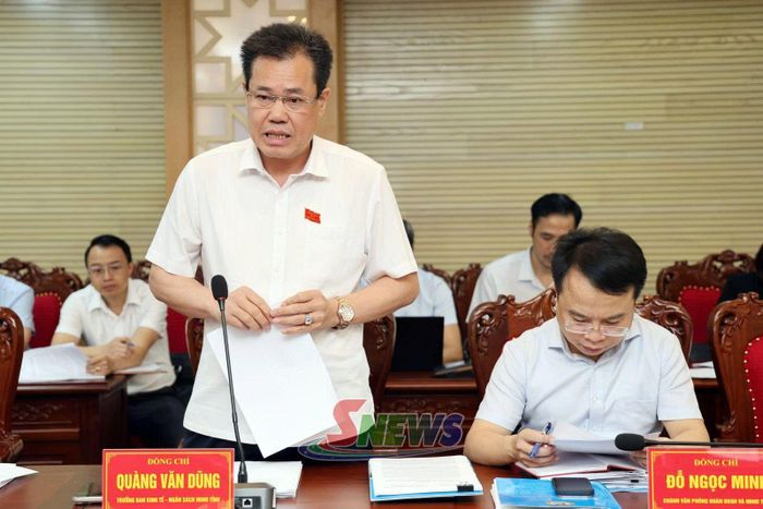 Lãnh đạo Ban Kinh tế - Ngân sách HĐND tỉnh phát biểu tại cuộc làm việc.