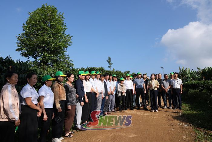 Đại biểu tham quan mô hình canh tác cà phê thông minh thích ứng với biến đổi khí hậu tại xã Bình Thuận