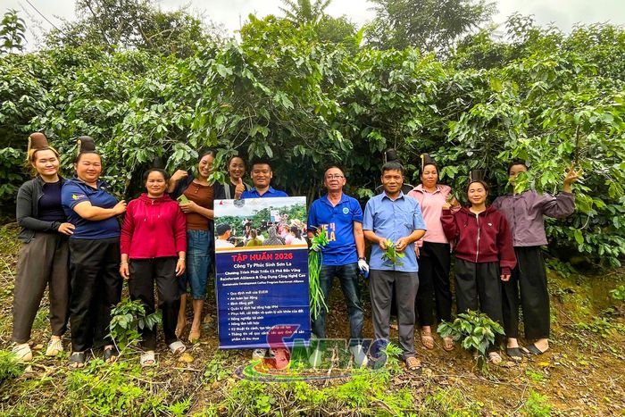 Công ty Cổ phần Phúc Sinh đồng hành cùng người trồng cà phê hướng đến phát triển bền vững.