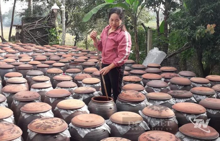 Làng nghề tương nếp Úc Kỳ (xã Phú Bình) phát triển nghề truyền thống gắn với sản xuất và tiêu thụ sản phẩm đặc trưng của địa phương.
