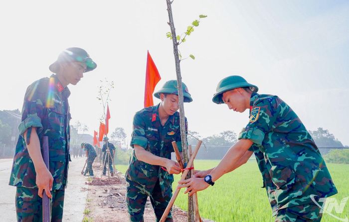 Cán bộ, chiến sĩ Tiểu đoàn 3, Tiểu đoàn 5 (Trường Quân sự Quân khu 1) tham gia trồng cây tại xã Tân Khánh.