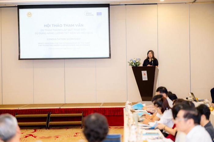 Bà Trần Thùy Dương, Giám đốc Chương trình, Phái đoàn Liên minh châu Âu tại Việt Nam phát biểu tại sự kiện.