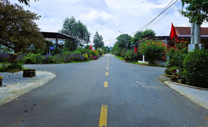 Những tuyến đường rực rỡ sắc hoa ở xã Cam Lộ.