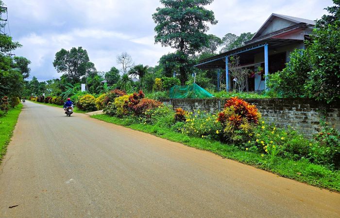 Một tuyến đường hoa tại xã Cam Lộ.