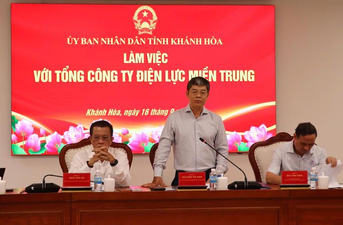 Ông Nguyễn Tài Anh, Phó tổng giám đốc EVN phát biểu tại buổi làm việc.