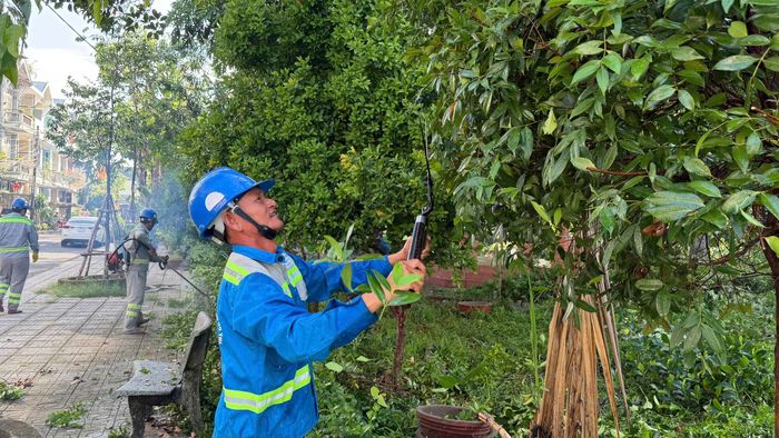 Cây xanh tại hàng loạt khu dân cư, công viên và khu vực công cộng ở phía Đông Quảng Ngãi sẽ được cắt tỉa, chăm sóc. (Ảnh: Lê Danh)
