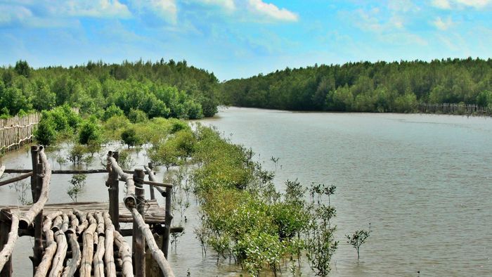 Việc tận dụng vật liệu nạo vét tại chỗ để bồi đắp, tạo bãi được đánh giá là giải pháp căn cơ trên địa bàn tỉnh Cà Mau.