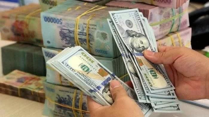 Thị trường tiền tệ tuần 14 - 18/9: Hút ròng mạnh hơn 62.500 tỷ đồng, tỷ giá USD vẫn đi lên khi Fed và BoJ tăng lãi suất. Ảnh minh họa.