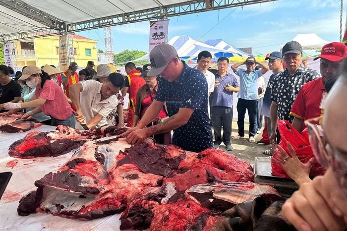 Thịt trâu chọi vòng loại được bán từ sớm ngoài sân vận động.