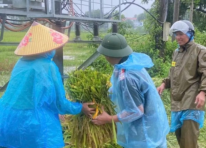 Công an xã Mỹ Đức phối hợp, hỗ trợ nhân dân gặt lúa.