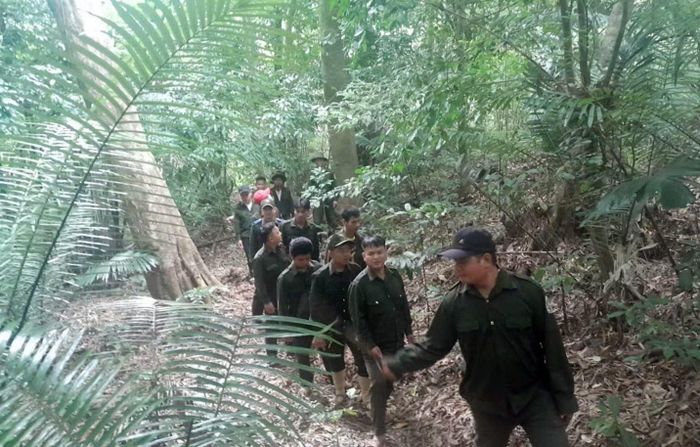 Lực lượng bảo vệ rừng chuyên trách tuần tra, kiểm soát lâm phận.