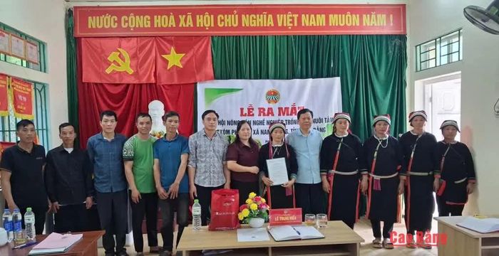 Ra mắt Tổ hội nghề nghiệp trồng dâu nuôi tằm.