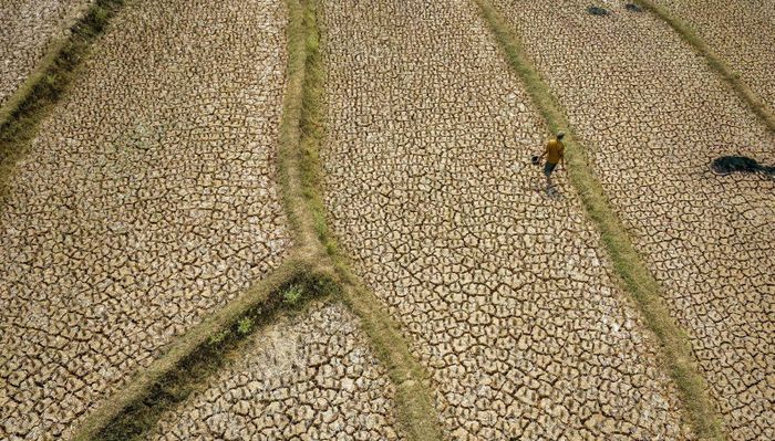 El Niño sẽ đạt cường độ rất mạnh vào cuối năm nay và kéo dài đến năm 2027. (Ảnh: Getty Images)