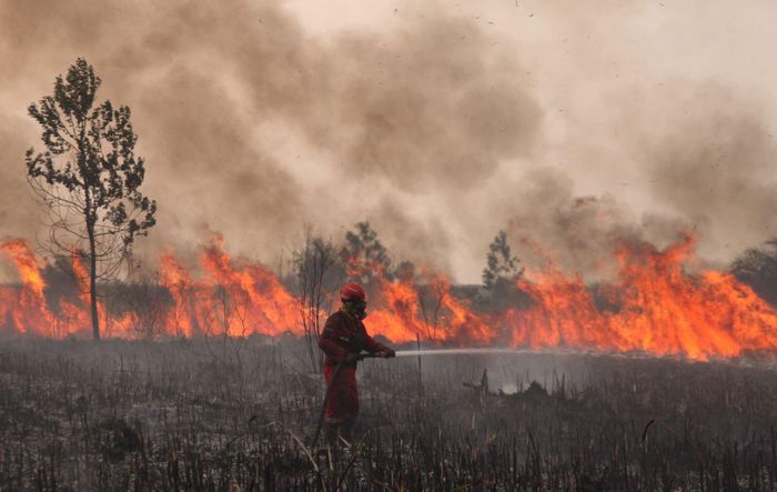 Lính cứu hỏa nỗ lực dập tắt các đám cháy rừng ở Nam Sumatra, Indonesia. (Ảnh: Getty Images)