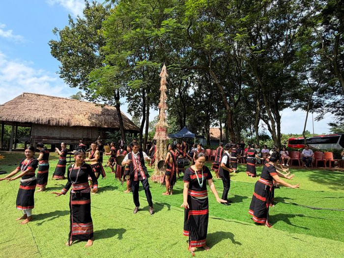 Từ tiếng cồng chiêng, tiếng đàn T'rưng, Mã la đến những làn điệu dân ca, điệu múa cộng đồng, “Sắc hương đại ngàn” không chỉ là một chương trình biểu diễn nghệ thuật. Đây còn là dịp để công chúng trực tiếp cảm nhận sức sống của văn hóa các dân tộc Tây Nguyên và miền núi miền Trung; qua đó góp phần đưa di sản đến gần hơn với đời sống đương đại.