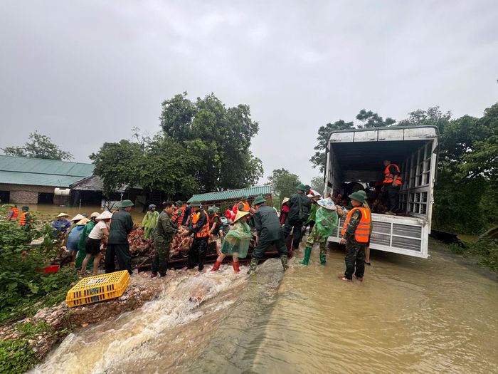 Cán bộ, chiến sĩ quân đội hỗ trợ người dân xã Xuân Mai sơ tán vật nuôi lên vị trí cao ráo hơn. Ảnh: Hồng Nga