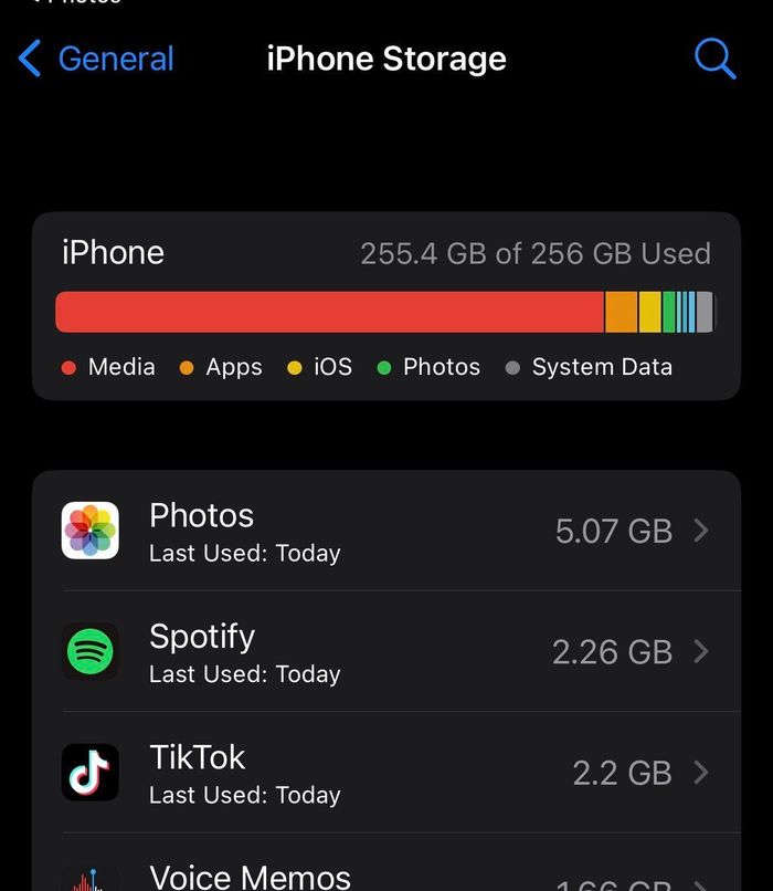 Bộ nhớ 256 GB có thể nhanh chóng bị lấp đầy nếu người dùng lưu nhiều ảnh, video độ phân giải cao, game và dữ liệu ứng dụng trực tiếp trên iPhone. Ảnh: Reddit.
