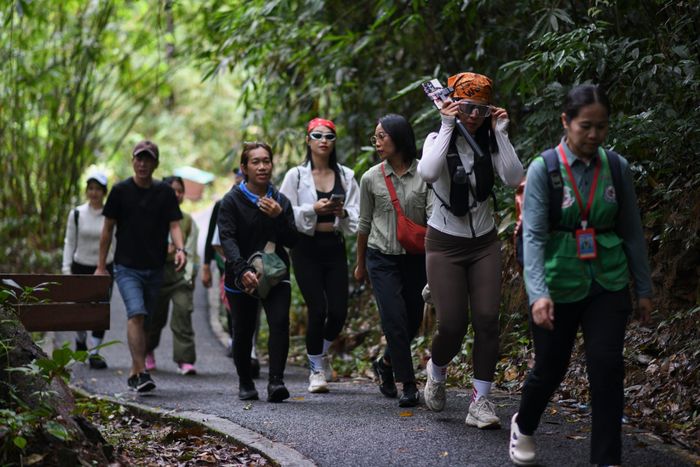  Để di chuyển đến Nakee Cave, du khách phải đi bộ khoảng 3-4 km xuyên rừng dưới sự dẫn dắt của kiểm lâm địa phương. Toàn bộ hành trình mất khoảng 4 giờ, du khách sẽ tận thấy khối đá hình rắn khổng lồ có từ hàng nghìn năm. 