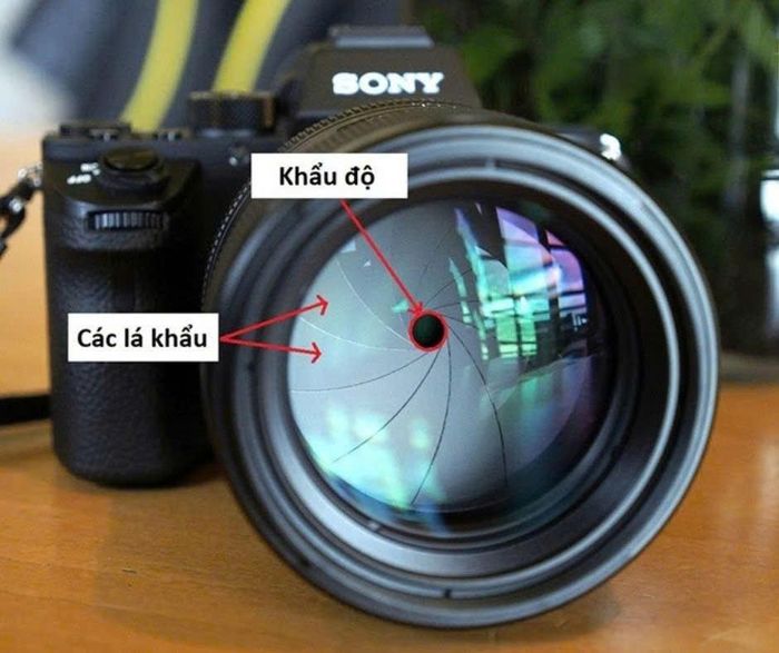 Camera iPhone 18 Pro (trên) sở hữu các lá khẩu có thể mở ra và khép lại như máy ảnh chuyên nghiệp. Ảnh: IrisMechanism.