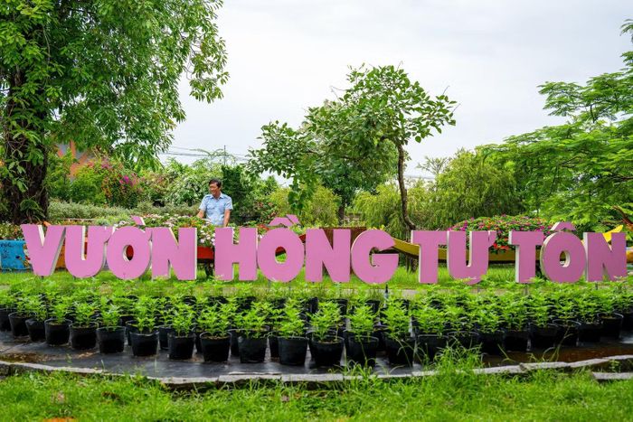 Ông Dương Văn Quế chăm sóc những chậu hồng trong Khu du lịch. (Ảnh: MỸ HÀ)
