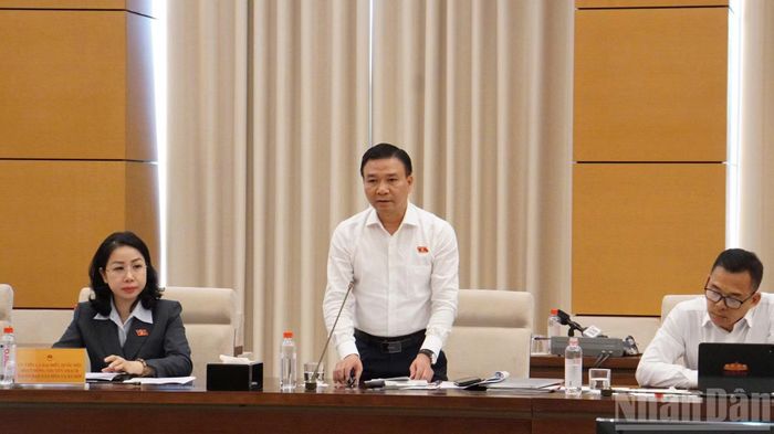Đại biểu Quốc hội Chu Mạnh Hùng đặt câu hỏi.