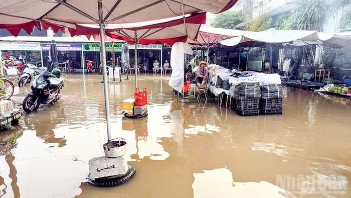 Tiểu thương chợ Thanh Mỹ, phường Thanh Đức kê cao nơi buôn bán. (Ảnh: BÁ DŨNG)