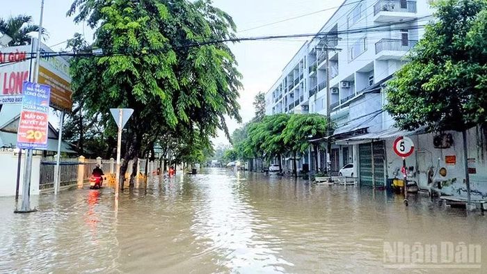 Đường vào Sở Nông nghiệp và Môi trường tỉnh Vĩnh Long cũng bị triều cường tấn công sớm. (Ảnh: BÁ DŨNG)