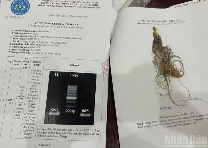 Thông báo kết quả kiểm tra ADN của Trung tâm Ứng dụng khoa học công nghệ tỉnh Quảng Ngãi.