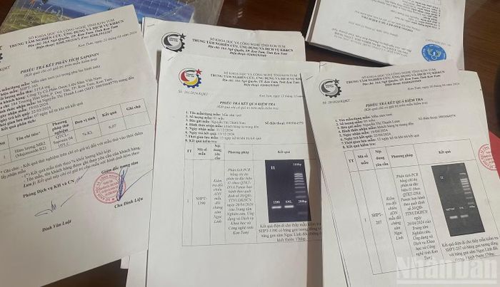 Các kết quả kiểm tra ADN sâm Ngọc Linh do Công ty cổ phần Dược liệu Sâm Việt Nam cung cấp.
